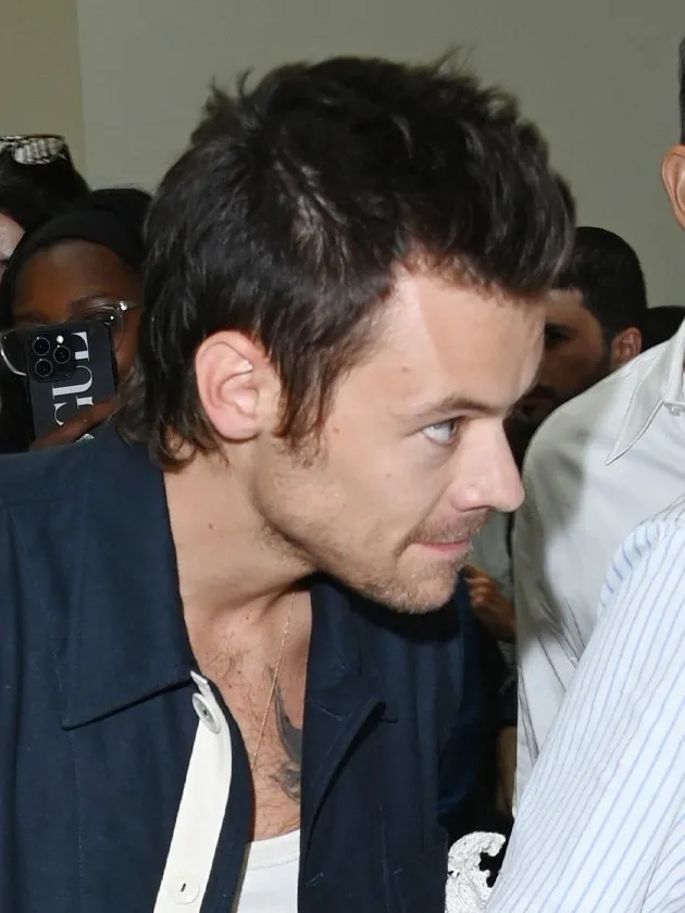 Harry Styles debuts new hair – and there’s an unexpected party in the back