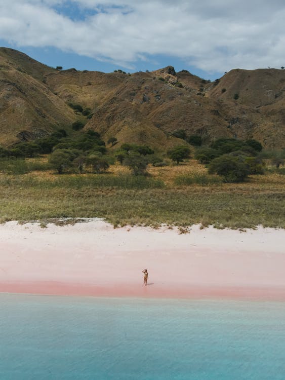 How To Visit The Pink Beach In Komodo Island, Indonesia