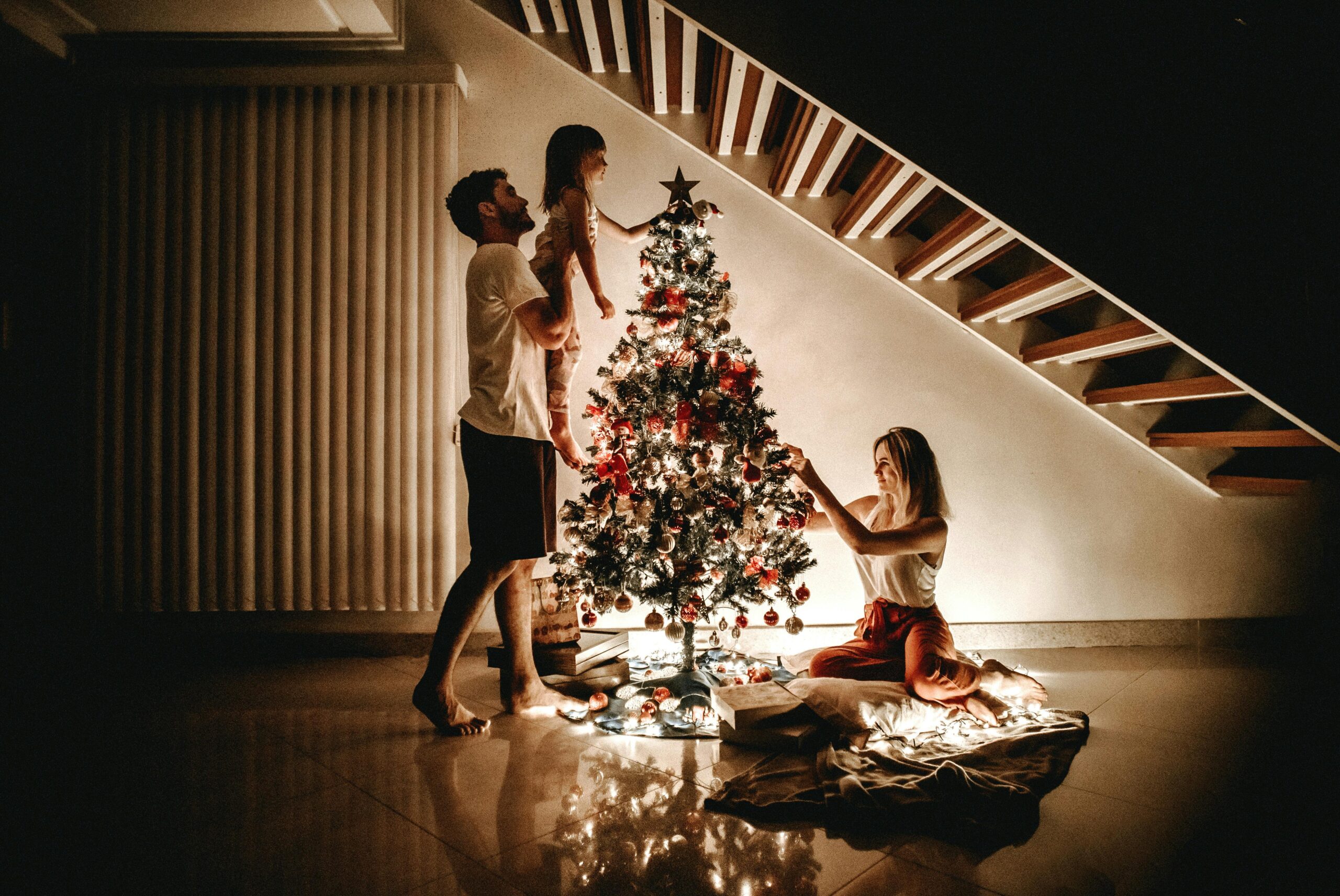 How to Choose the Perfect Christmas Tree