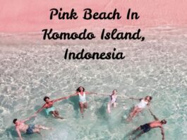 Pink Green Minimalist Aesthetic Summer Beach Instagram Story