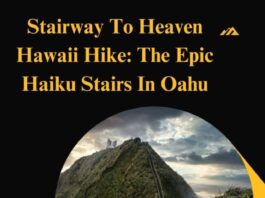 Yellow and Black Modern Travel Mountain Hiking Instagram Post