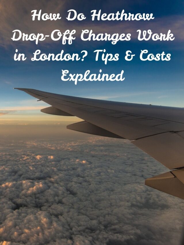 blue and white simple world civil aviation day instagram story